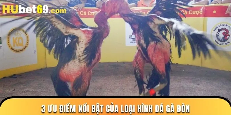 3 ưu điểm nổi bật của loại hình đá gà đòn