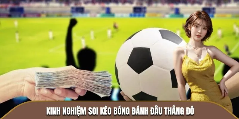 Kinh nghiệm soi kèo bóng đánh đâu thắng đó